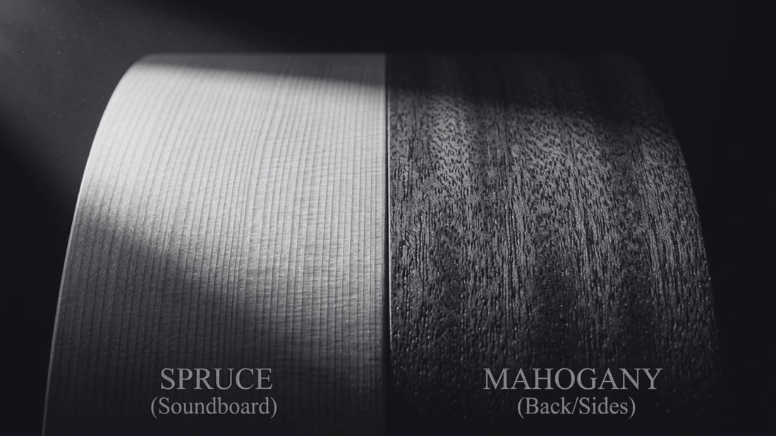 Wooden Guitar Buying Guide: How Tonewood Shapes Sound & Price