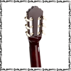 SoloArt Classic Guitar Pack Sunburst
