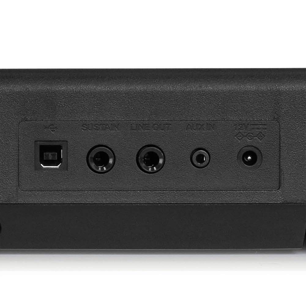 Back panel of a black electronic device with multiple ports on a white background